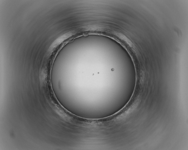 X0000115780922200911131244