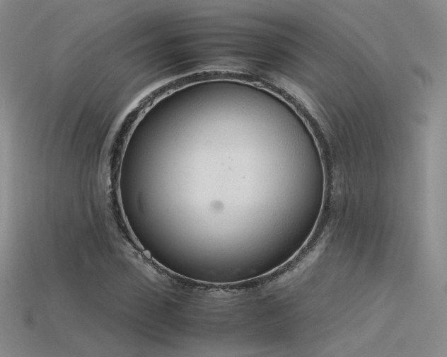 X0000115780923200911131244