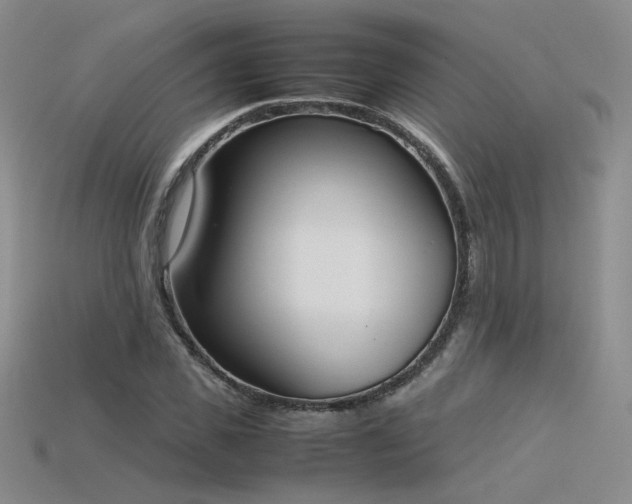 X0000115780925200911131244