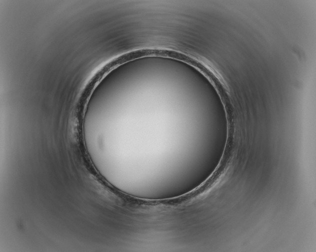 X0000115780926200911131244