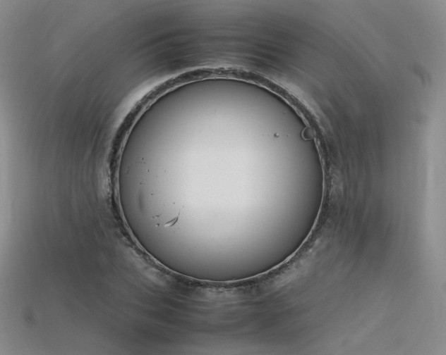 X0000115780927200911131244