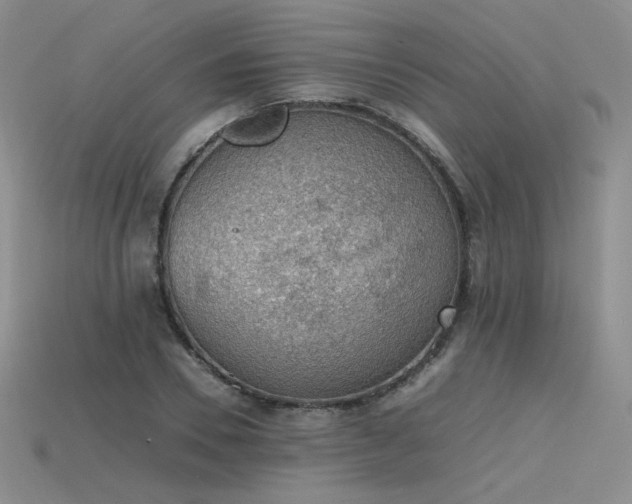 X0000115780930200911131244