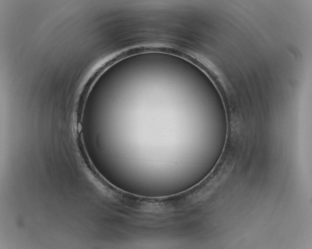 X0000115780935200911131244