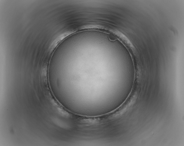 X0000115780937200911131244