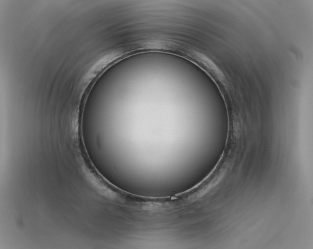 X0000115780938200911131244