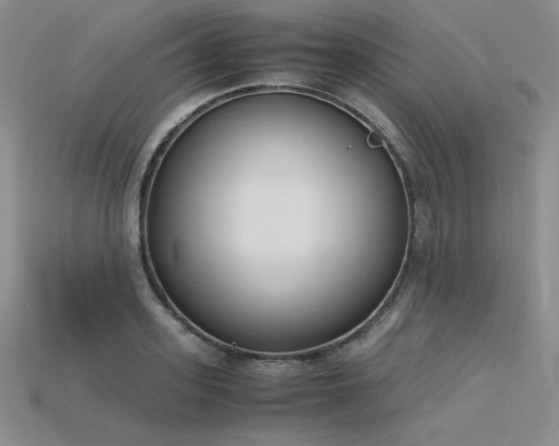 X0000115780939200911131244
