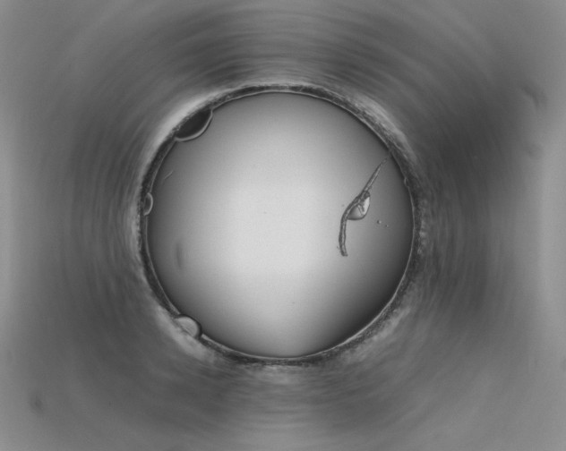 X0000115780942200911131244