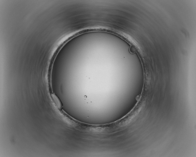 X0000115780943200911131244