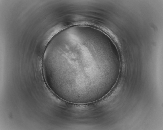 X0000115780945200911131244