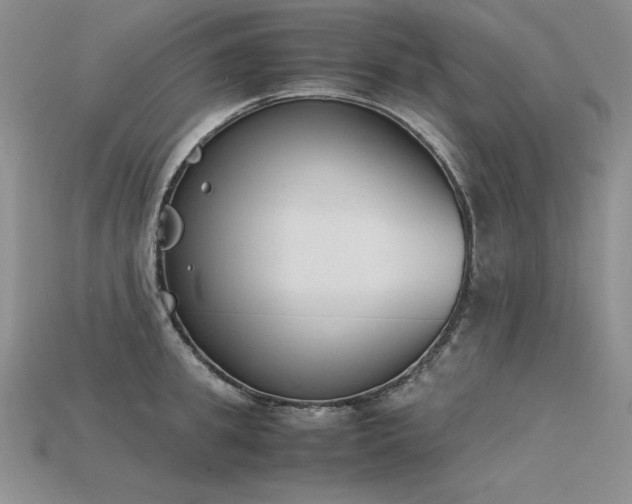 X0000115780949200911131244