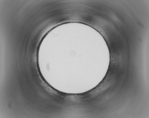 X0000115780950200911131244