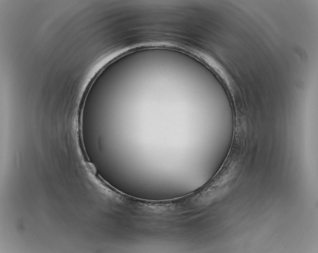 X0000115780951200911131244