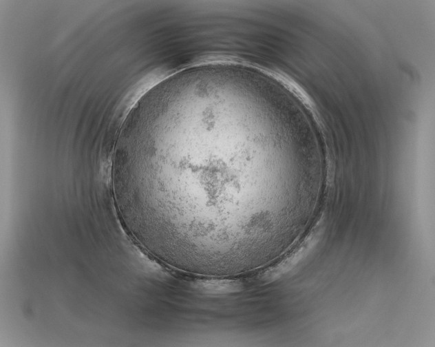 X0000115780953200911131245