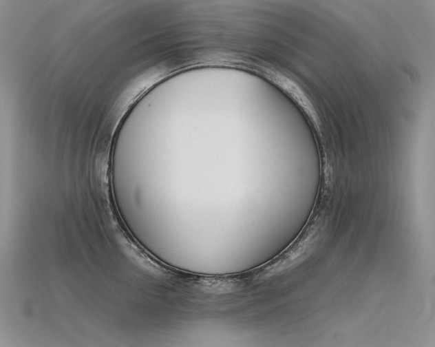 X0000115780954200911131245