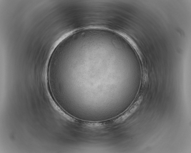 X0000115780957200911131245