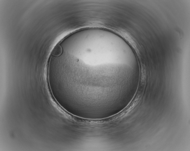 X0000115780958200911131245