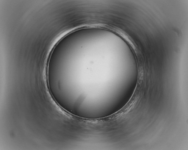 X0000115780959200911131245