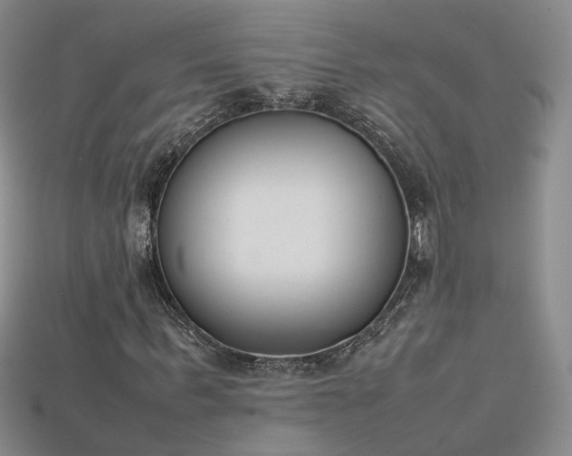 X0000115780963200911131244