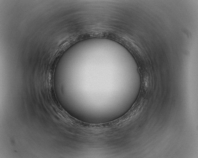 X0000115780964200911131244