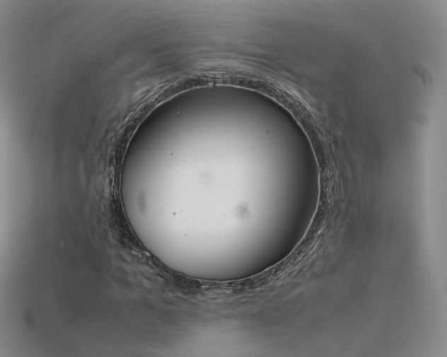 X0000115780965200911131244