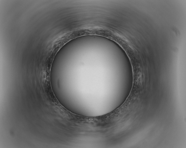 X0000115780966200911131244