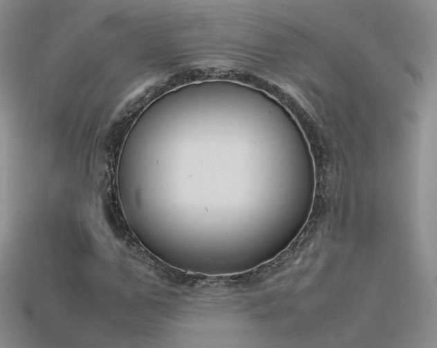 X0000115780967200911131244