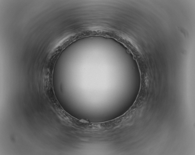 X0000115780968200911131244