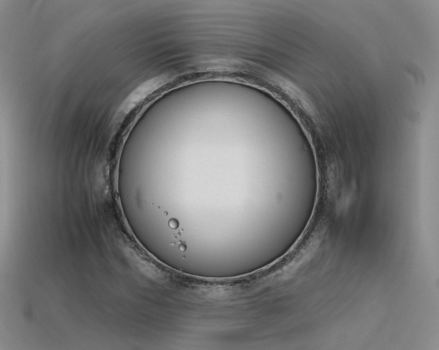 X0000115780970200911131244