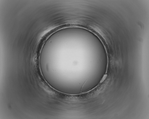 X0000115780971200911131244