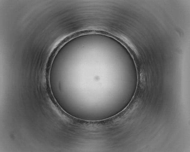 X0000115780972200911131244