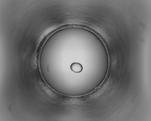X0000115780974200911131244