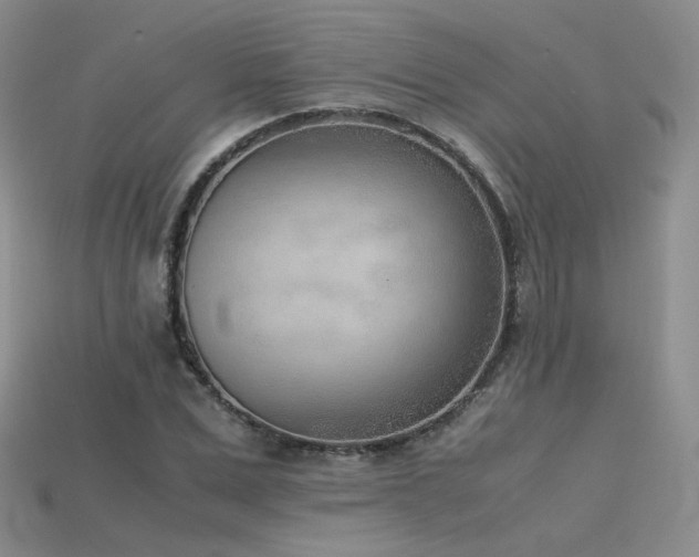 X0000115780975200911131244