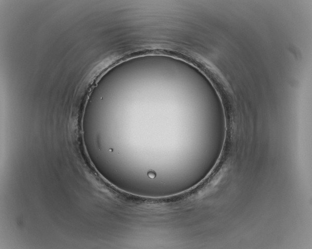 X0000115780977200911131244