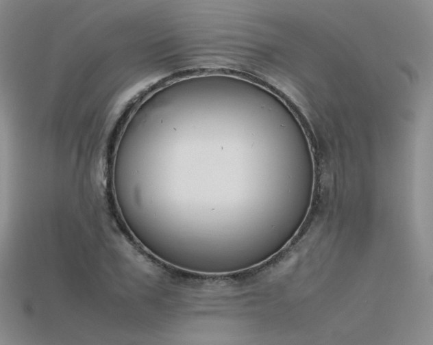 X0000115780979200911131244