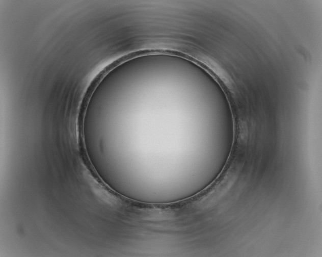 X0000115780980200911131244