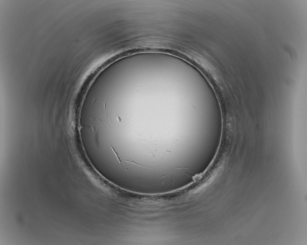 X0000115780981200911131244