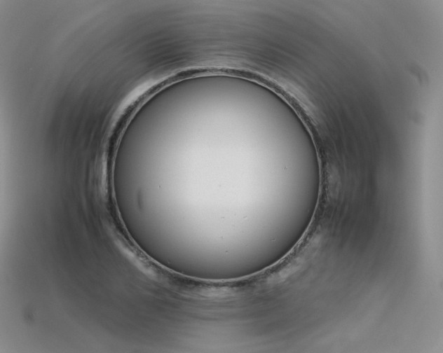 X0000115780982200911131244