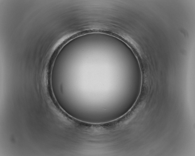 X0000115780983200911131244