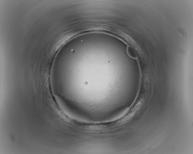 X0000115780985200911131244