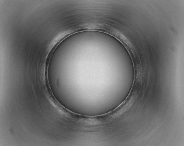 X0000115780986200911131244