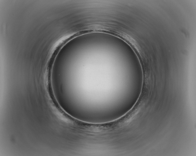 X0000115780987200911131244
