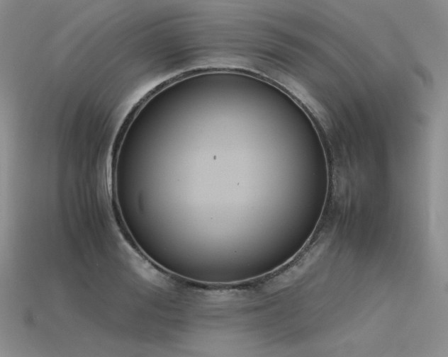 X0000115780988200911131244