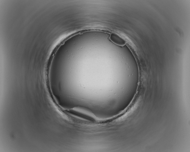 X0000115780989200911131244