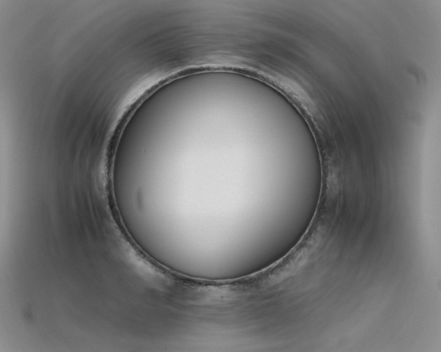 X0000115780990200911131244
