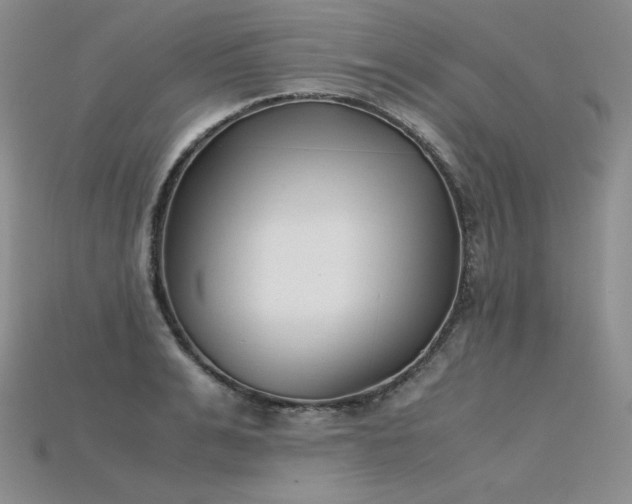 X0000115780991200911131244