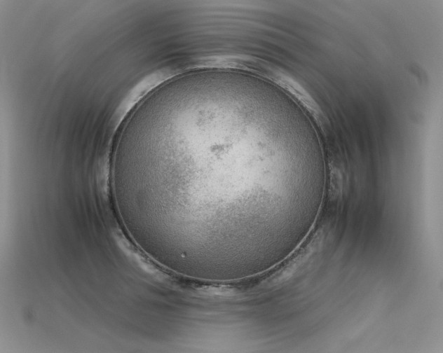 X0000115780994200911131244