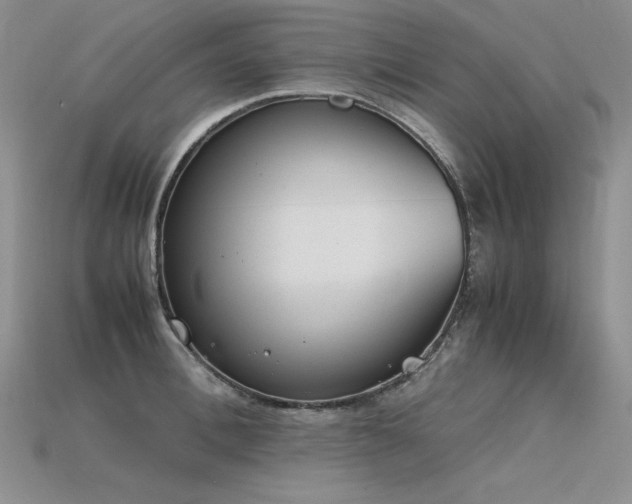 X0000115780996200911131244