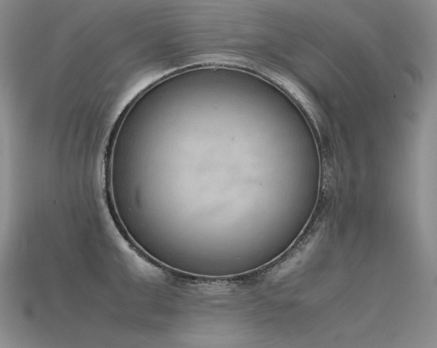 X0000115780999200911131243