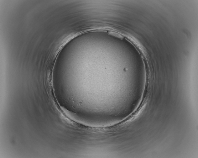 X0000115781001200911131243