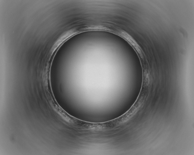 X0000115781002200911131243